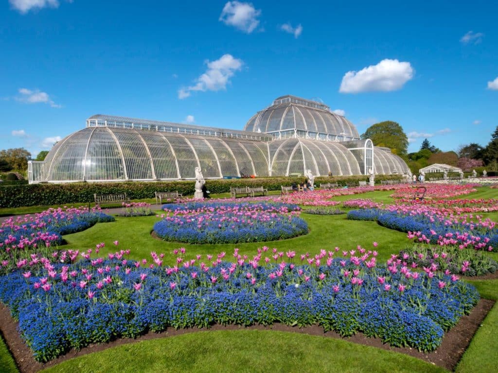kew-1024x768