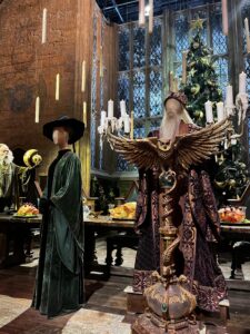 Por dentro de Harry Potter